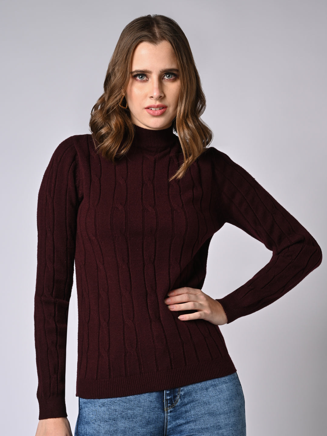 Women Wine Slim Fit Sweater