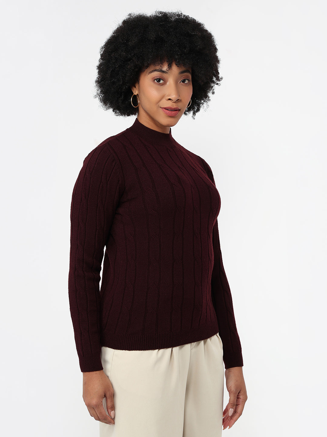 Women Wine Slim Fit Sweater