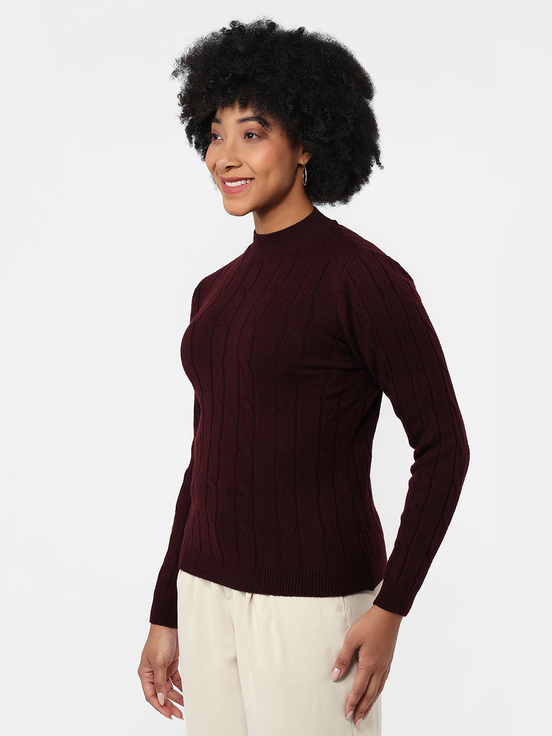 Women Wine Slim Fit Sweater