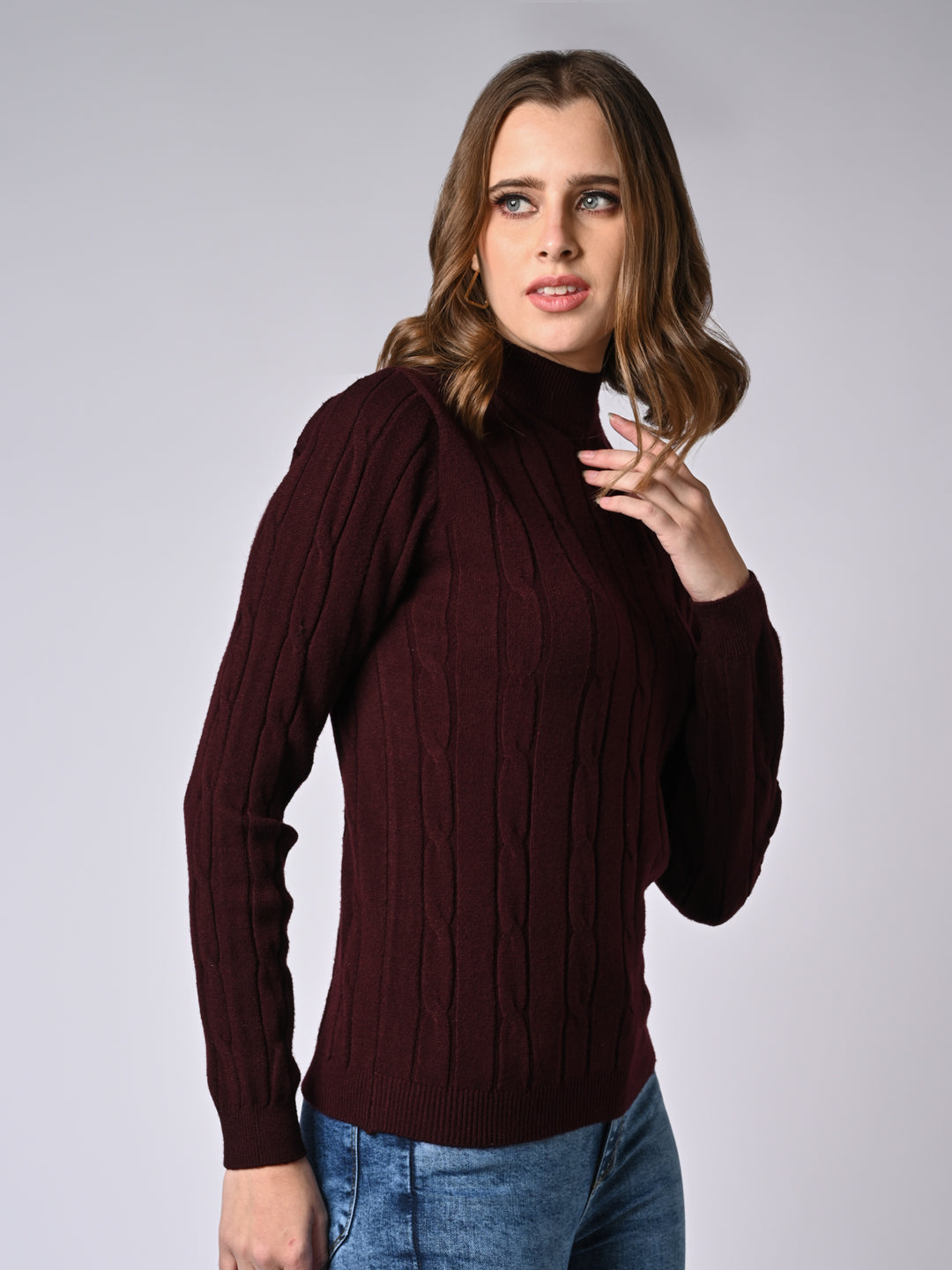 Women Wine Slim Fit Sweater