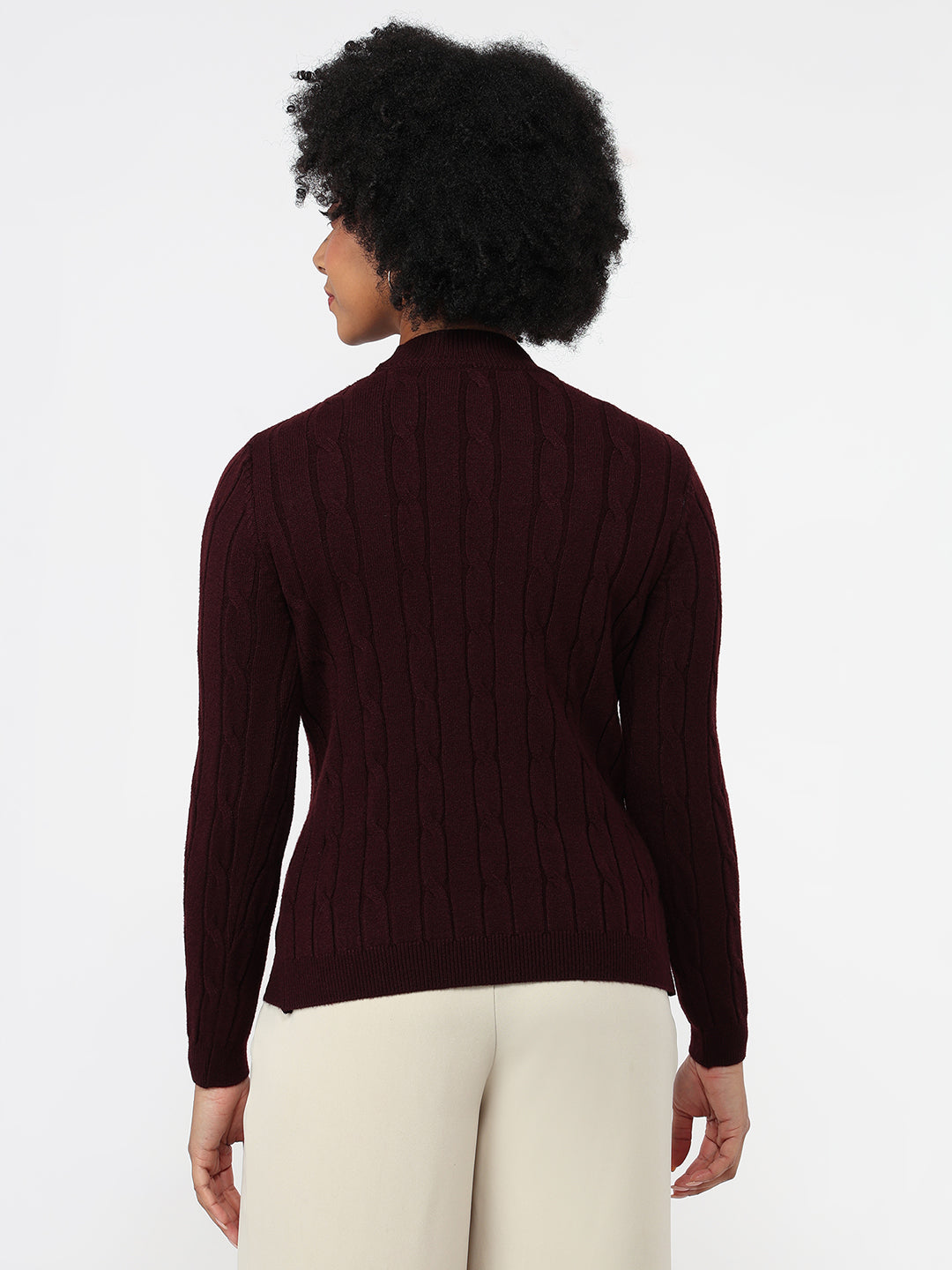 Women Wine Slim Fit Sweater